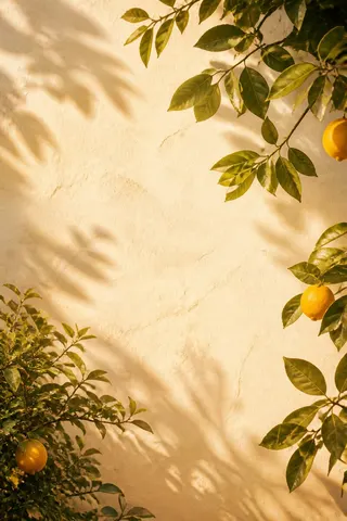 A lemon tree casting sunlit shadows on a warm wall