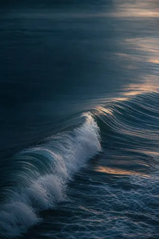 A wave curling across a dark sea