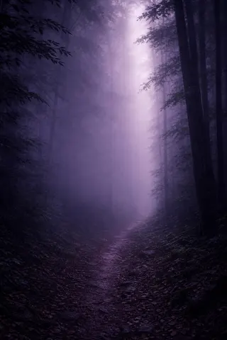 A misty forest path in violet light